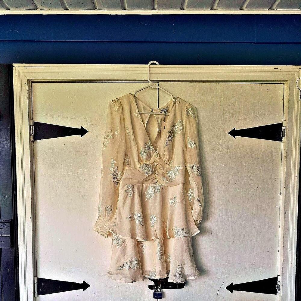 Nwt francescas kathy embroidered tiered dress